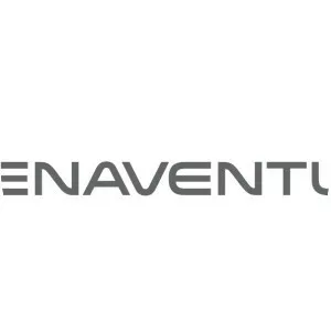 Compañia de Minas Buenaventura - Mining company