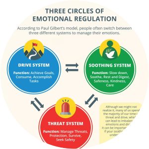 Compassion Focused Therapy Paul Gilbert - Book by Paul Gilbert