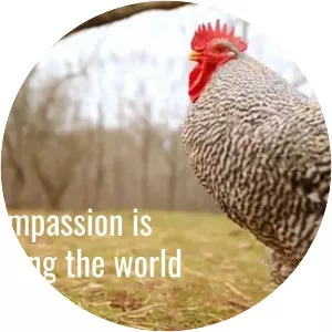 Compassion Over Killing