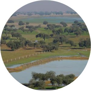 Complejo lagunar de La Albuera - 