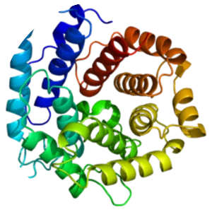 Complement component 3