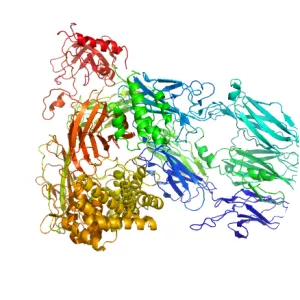 Complement component 5 - Protein