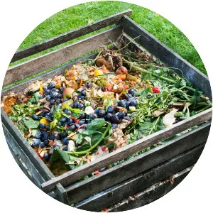 Compost photograph