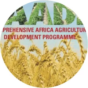 Comprehensive Africa Agriculture Development . . .