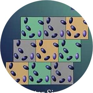 Computer Simulation of Liquids - Book by D. J. Tildesley and M.P. Allen