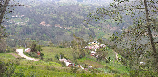 Comunidad, Matecclla