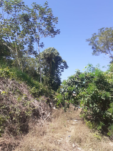 Comunidad Nuevo Amanecer - Park in Peru