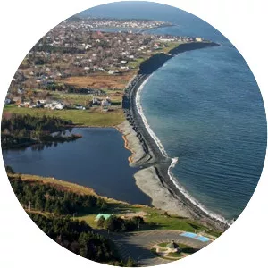 Conception Bay South