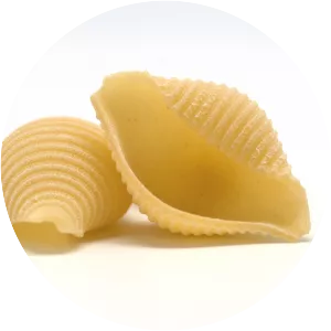 Conchiglie