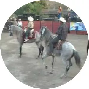 Concordia Municipality