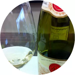 Condrieu AOC - Appellation