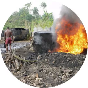 Conflict in the Niger Delta - Military conflict