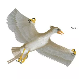 Confuciusornis - Birds