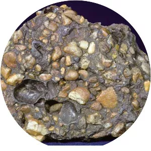 Conglomerate - Company