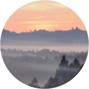 Congo Basin photograph