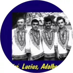 Conjunto Big Brasa - Musical group