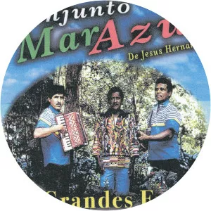 Conjunto Mar Azul De Jesus Hernandez - Musical artist