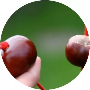 Conkers