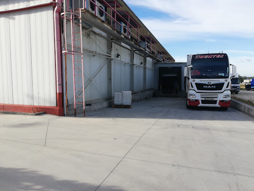 Conlusa SL - Cold storage facility in Spain