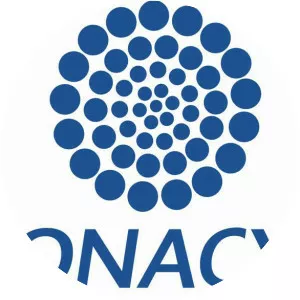 Consejo Nacional de Ciencia y . . .