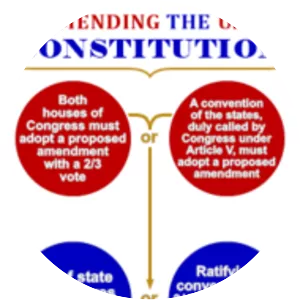 Constitutional amendment - 