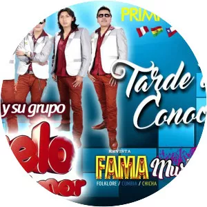 Consuelo de amor - Musical artist