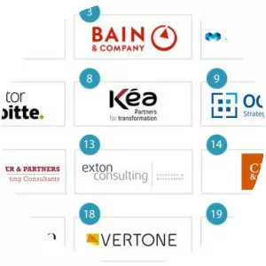 Consulting firm - Organization type