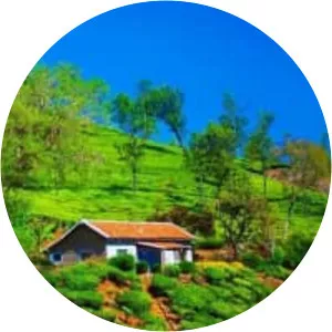 Coonoor