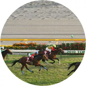 Copa Republica Argentina - 