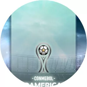 Copa Sudamericana 2014Since 2020