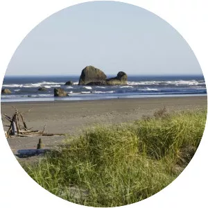Copalis Beach - Census-designated place in Washington