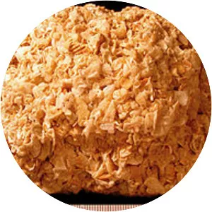 Coquina - Rock classification