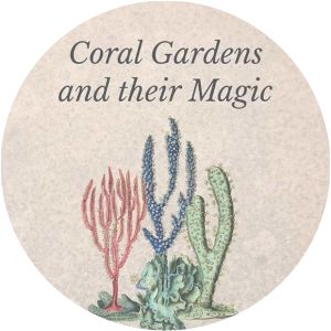 Coral Gardens and Their Magic