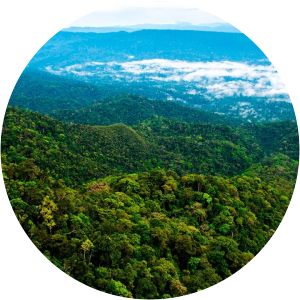 Cordillera Azul National Park