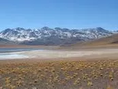 Cordón de Puntas Negras - Volcano in Chile