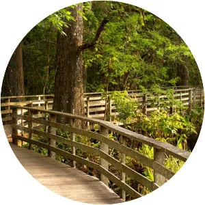 Corkscrew Swamp Sanctuary - 