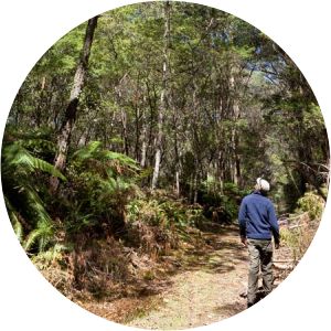 Corn Trail Walking Track - 