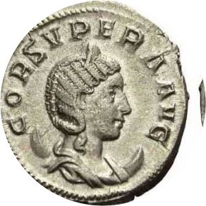 Cornelia Supera photograph