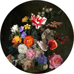 Cornelia van der Mijn