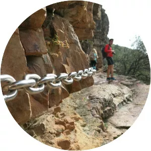 Corocho de madre (Corocho de Rocigalgo)