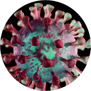 Corona Update LiveSince 2020 - TV program