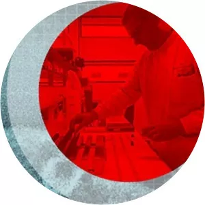 Coronavirus: What You Need to KnowSince 2020