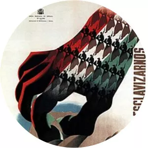 Corpo Truppe Volontarie - Armed force