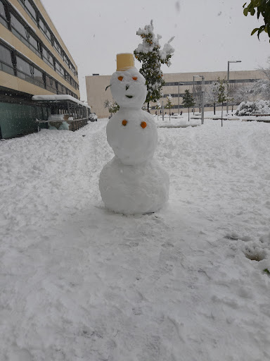Coslada-Est.San Fernando - Bus stop in San Fernando de Henares, Spain