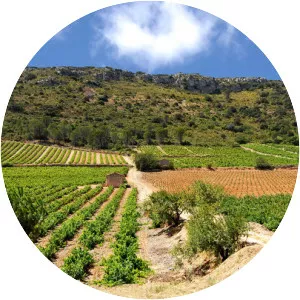 Côtes du Roussillon AOC