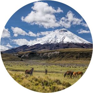 Cotopaxi National Park