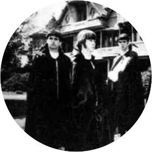 Count Five - Rock band