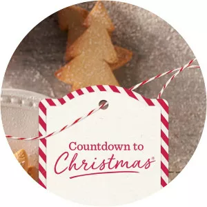 Countdown To Christmas - 2005 ‧ 11 seasons