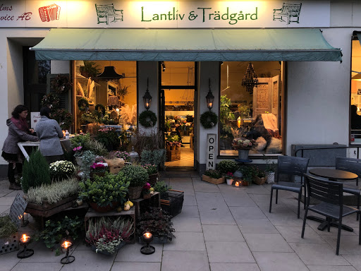 Country Life - Magazine