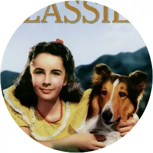 Courage of Lassie - 1946 ‧ Drama/Melodrama ‧ 1h 33m